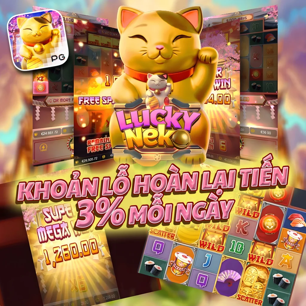HOT51 apk mod casino and live stream